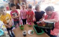 IMG_20190403_105111