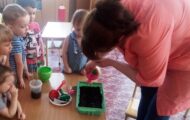 IMG_20190403_105956