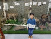 IMG-20231008-WA0007