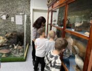 IMG-20231008-WA0035