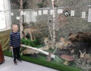IMG-20231009-WA0024