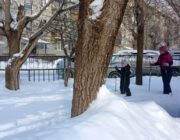 IMG_20240201_111740