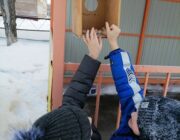 IMG_20240201_113341