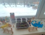 IMG-20240314-WA0004