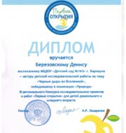 Диплом Березовский Денис