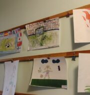 IMG_20260218_115319